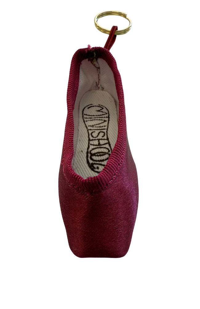 Mini Pointe Shoes