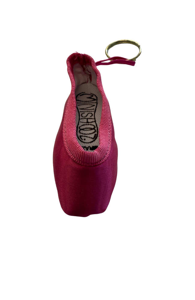 Mini Pointe Shoes