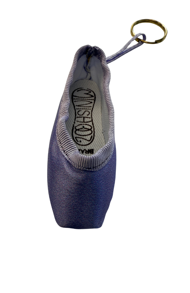 Mini Pointe Shoes