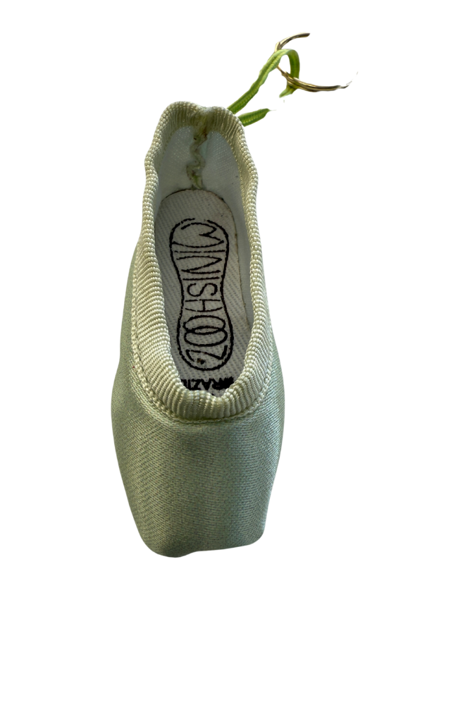 Mini Pointe Shoes