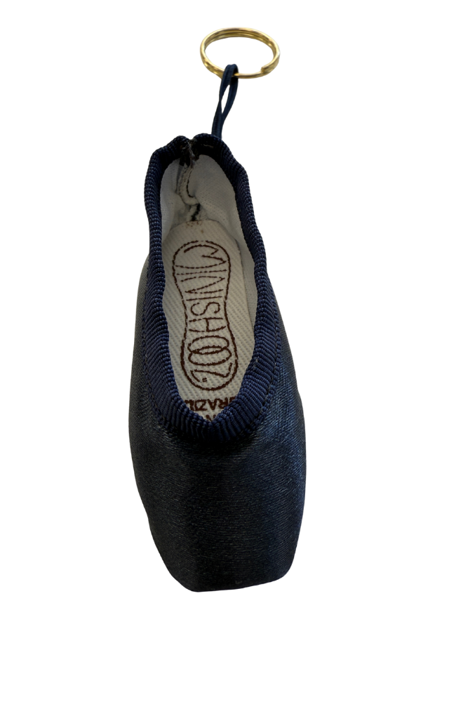 Mini Pointe Shoes