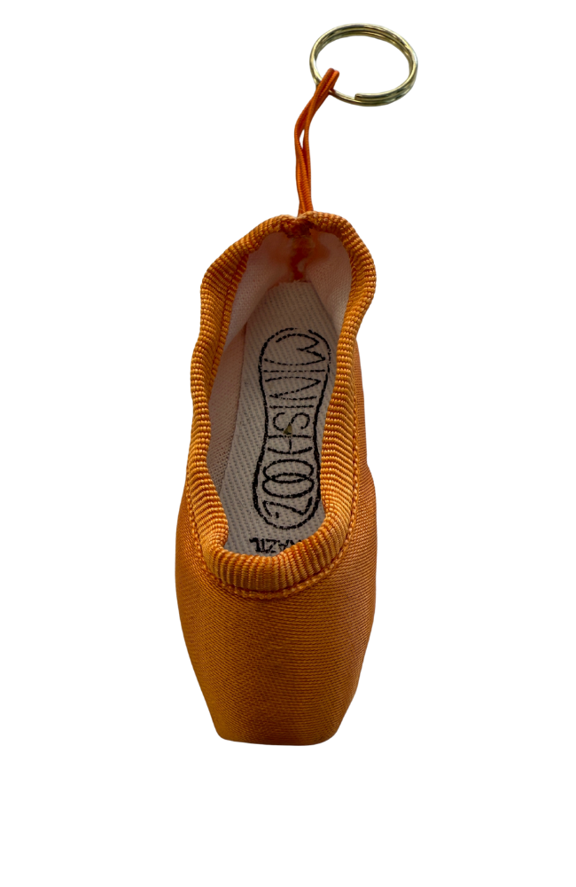 Mini Pointe Shoes