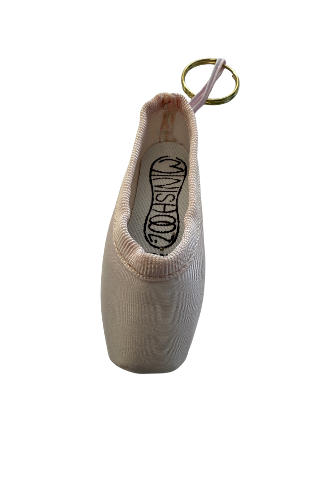 Mini Pointe Shoes