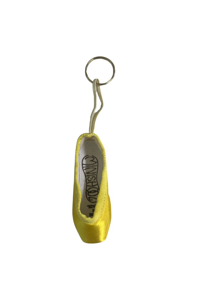 Mini Pointe Shoes