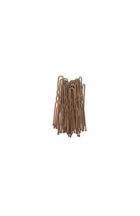 FH2 AZ0029 2 Inch Hair Pins Light Brown