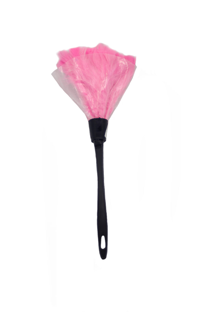 Pink Feather Duster B3